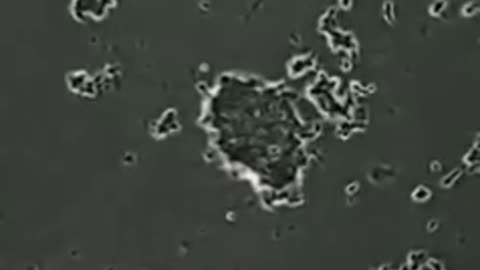 Bacteria Everywhere You Go!!!