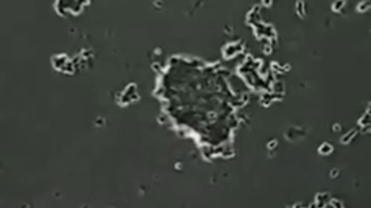 Bacteria Everywhere You Go!!!