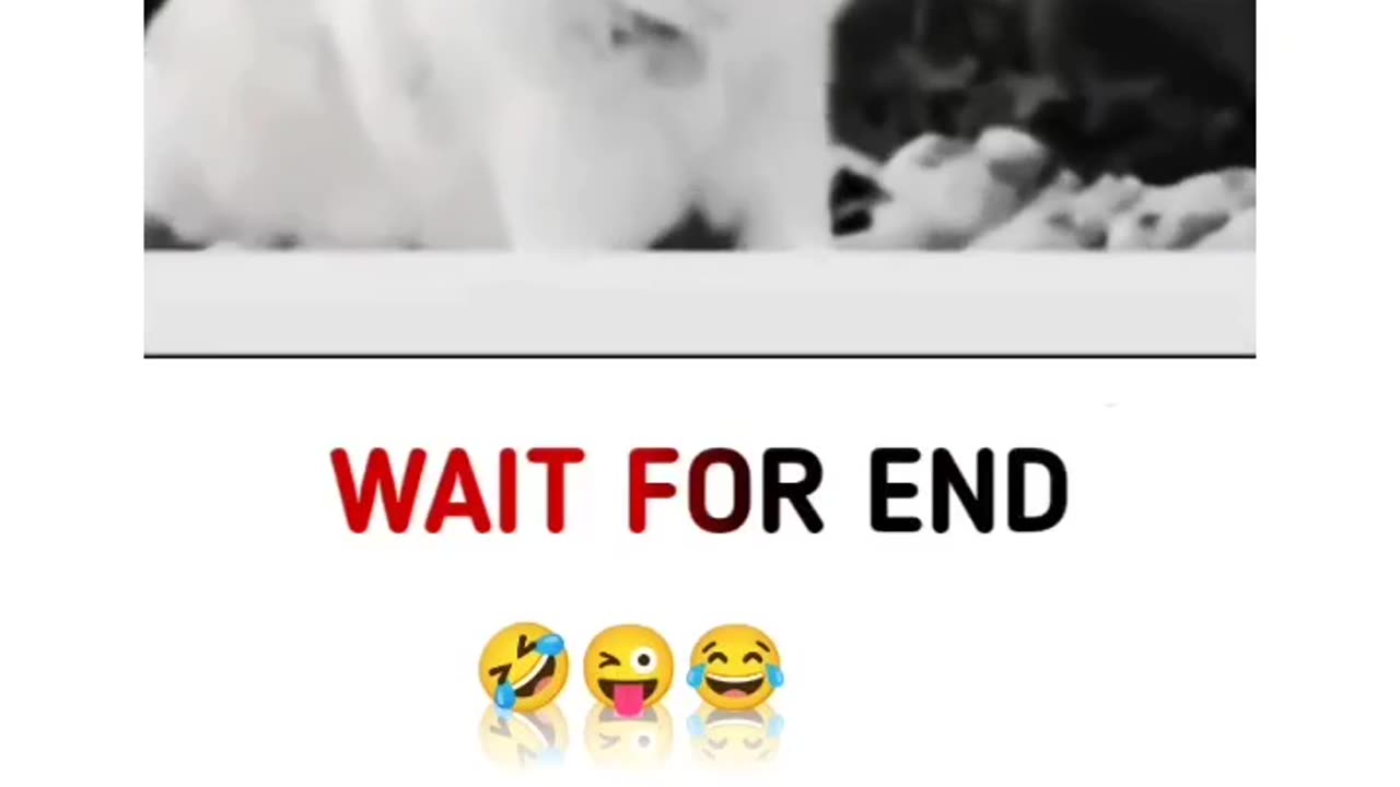 Only wait viral
