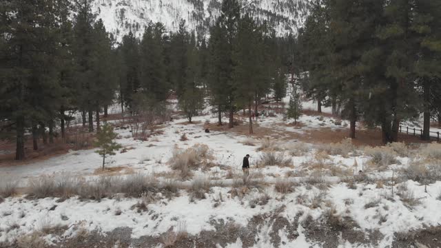 Mount Charleston Winter Walk