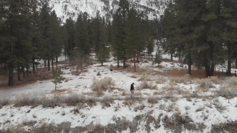 Mount Charleston Winter Walk