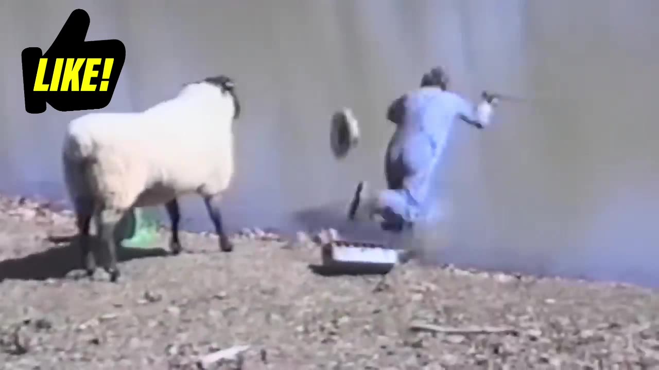 who is gensta here?
