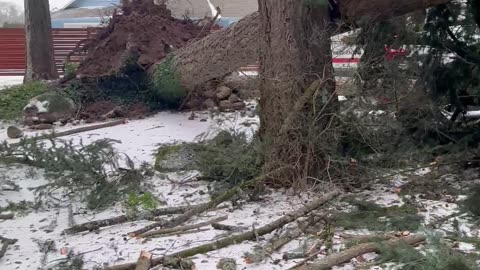 Aftermath of a Tree Falling on a House