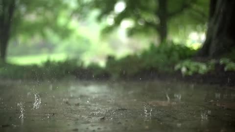 Slow motion Rain stock Footage