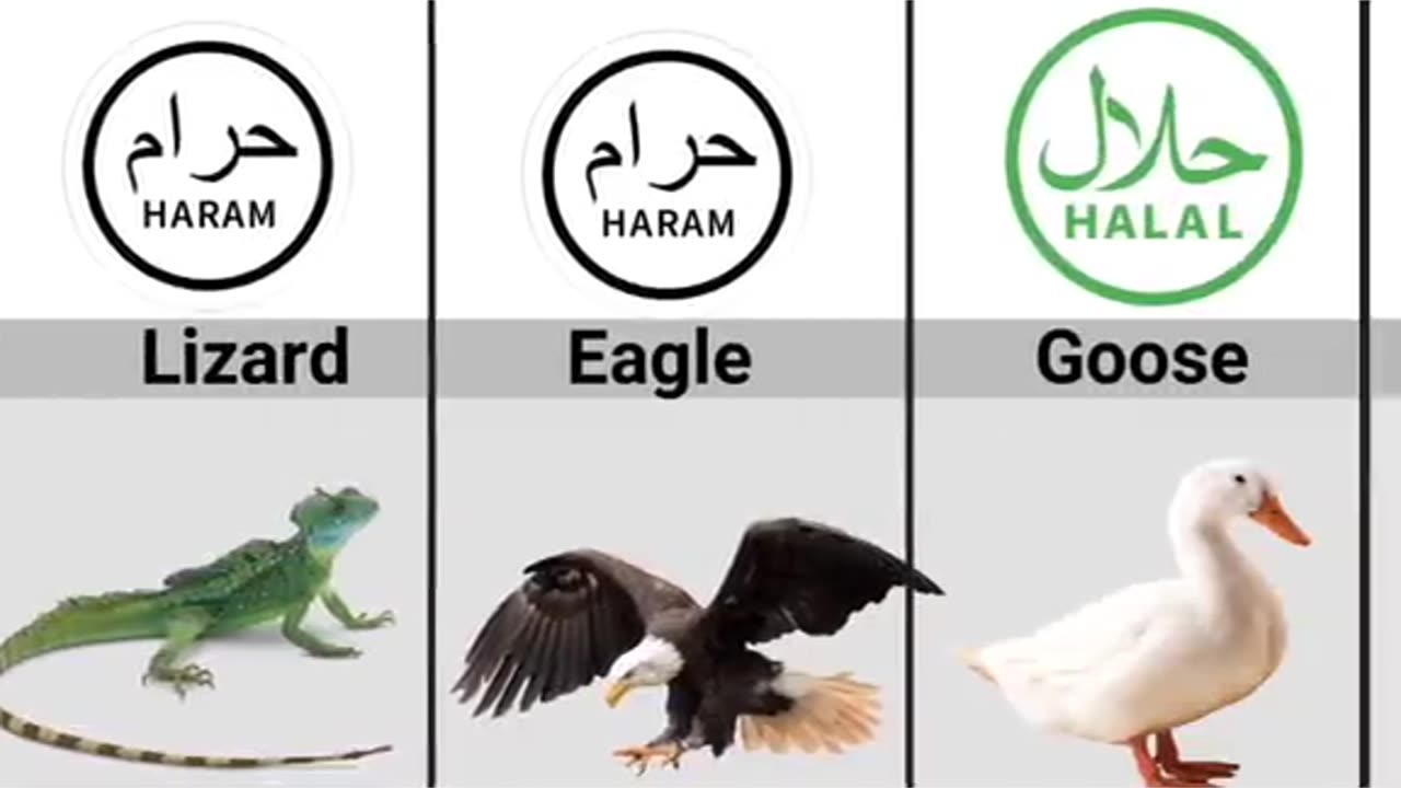 Halal Haram things in Islam