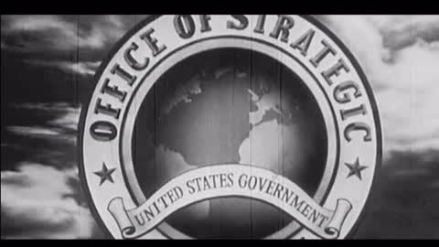 Who is Walt Disney, What is Disney Really ?