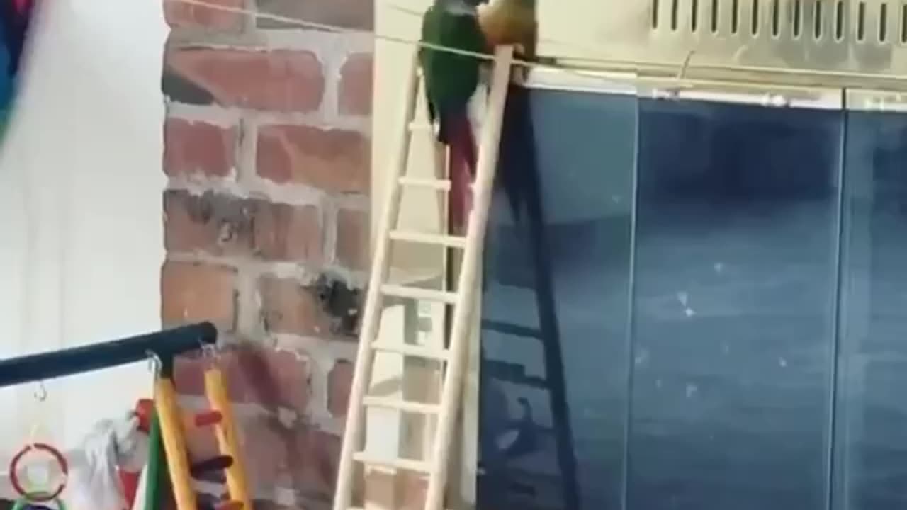 Condition at the end of the working week