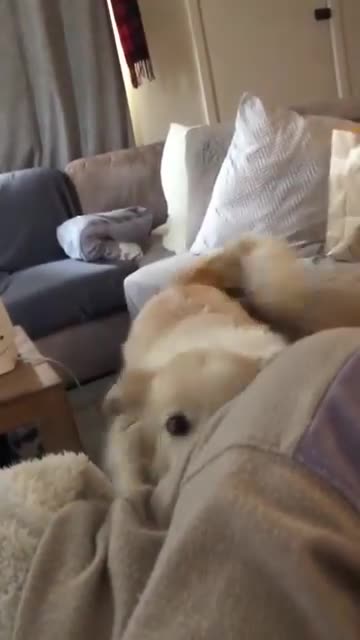 My furry bestie is blowing my mind with his new talent! 🤯🗣️