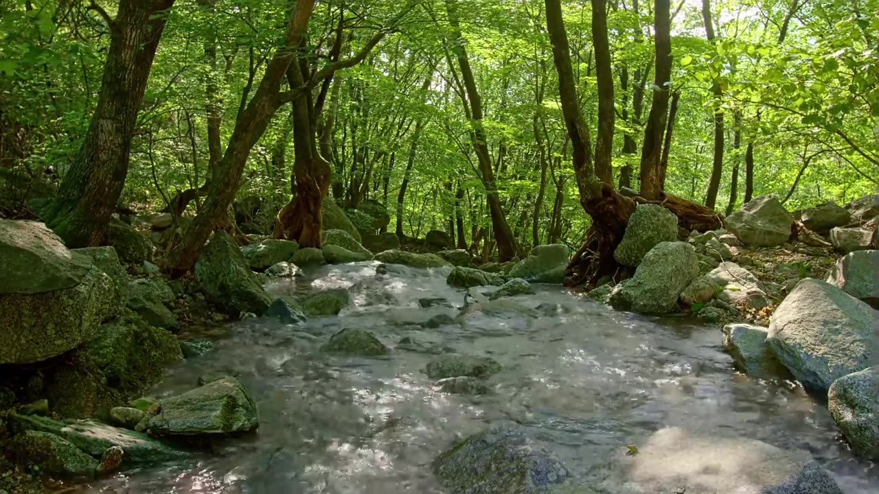 4K Relaxing Nature Sounds - Short Video Clips of Nature