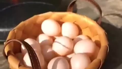 funny chicken dance 🤪🐔