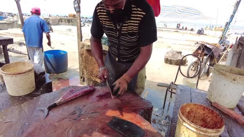 Mackerel Tuna Cutting Skills