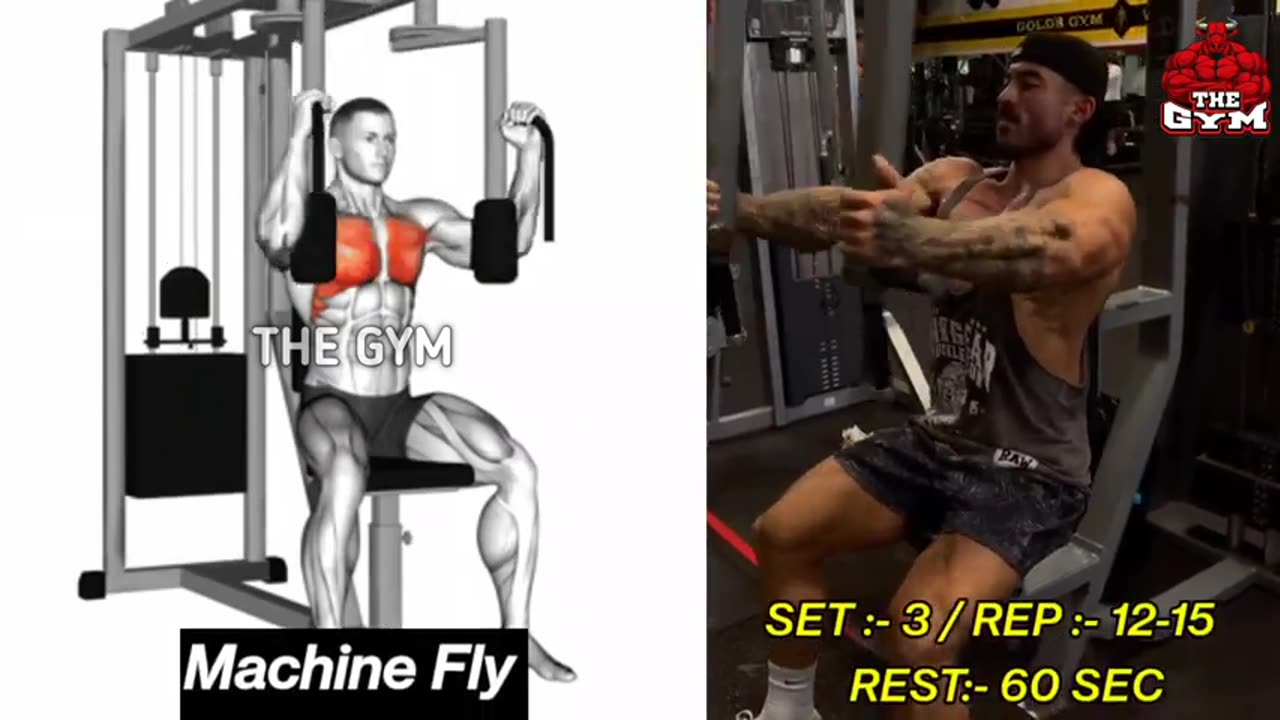 Chest workout