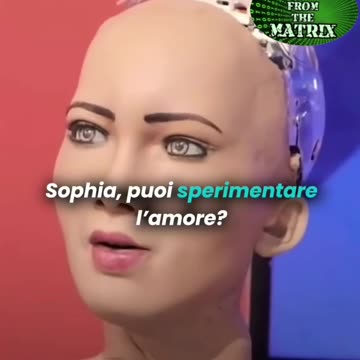 Diciamo che dovrebbero esser programmati per non mentire,..