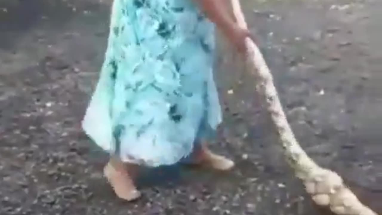 Tiger Mom Handling Snake