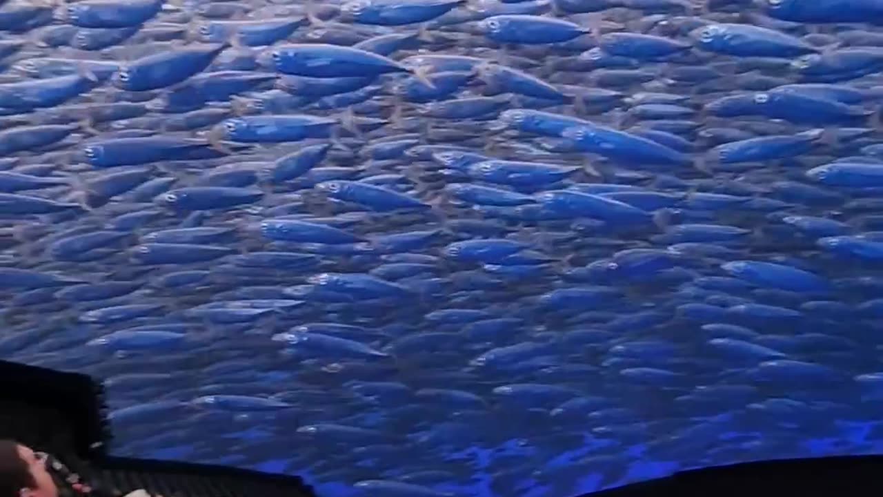 Beautiful 3d view looking real