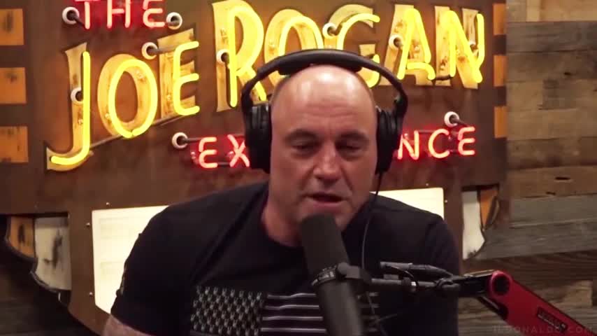 JOE ROGAN SPEAKING THAT TRUTH!!!