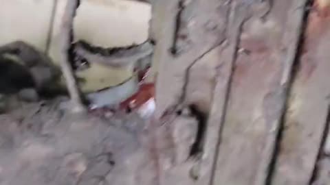 Cleaning of Rifles Taken Off of Russians