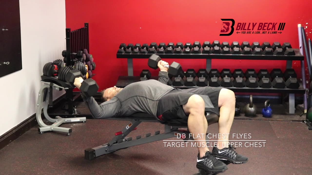 DB Flat Chest Flyes