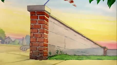 Tom & Jerry The invisible mouse