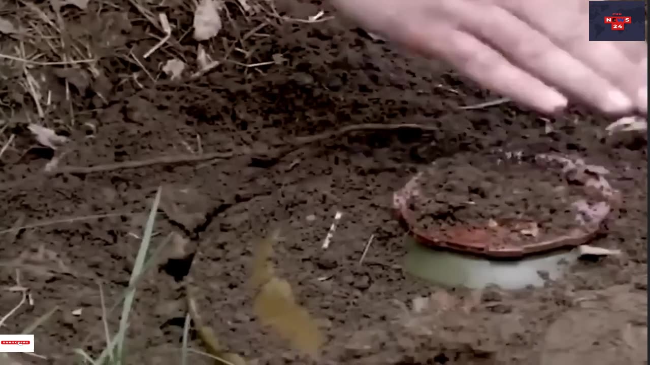Ukraine's Armed Forces begin to de-mine territory for upcoming counteroffensive