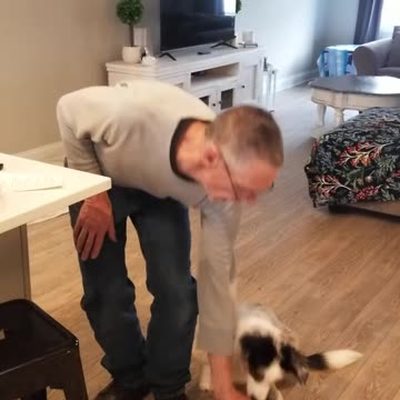 Baxter in slow motion clip 3