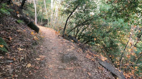 Mount Wilson trail