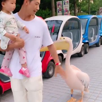 Anti-Loosh Video Number 165. LOOSH is real and bad. Explained below and watch the video