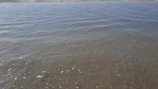 Mongagua beach in Sao Paulo Brazil