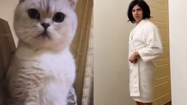 White Cat Reaction funny video #Catduet