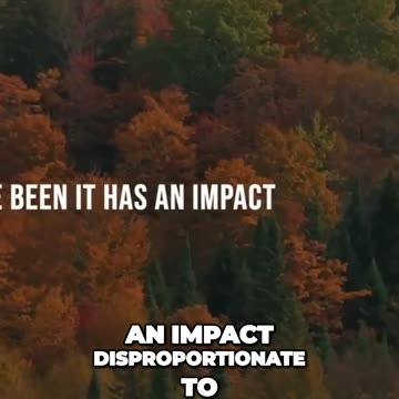 The Fear in Every Chapter: Embracing Growth and Gaining Perspective