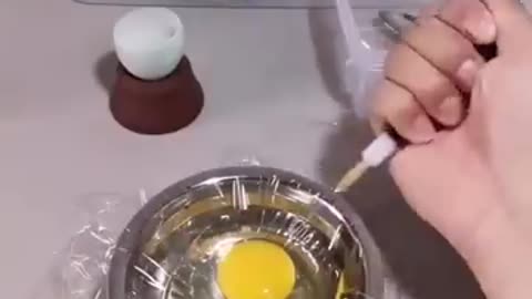 How a chick is born from an egg