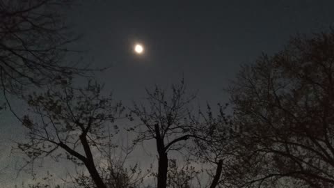 2024 Eclipse