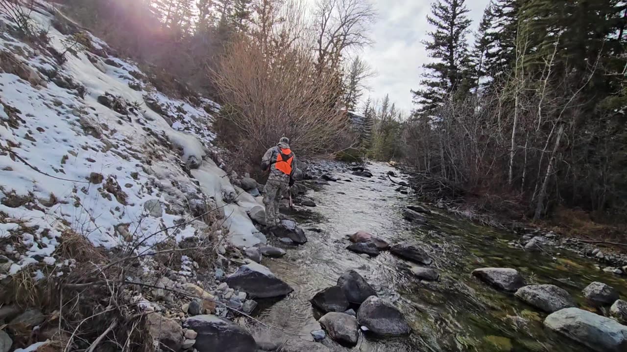 Bad day on a muzzleloader hunt