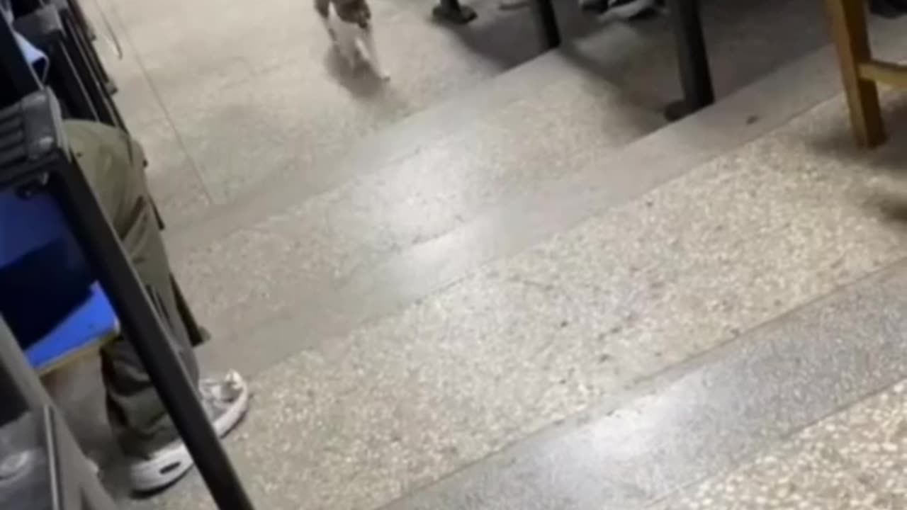 what's in here exactly