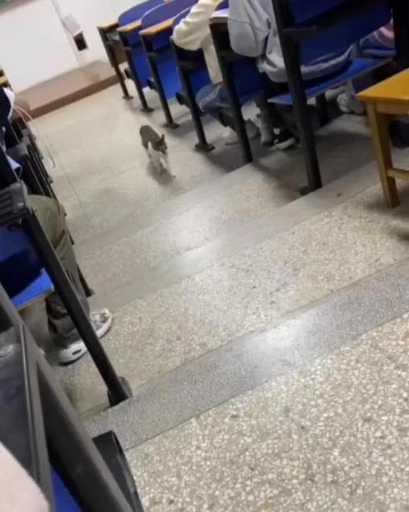 what's in here exactly