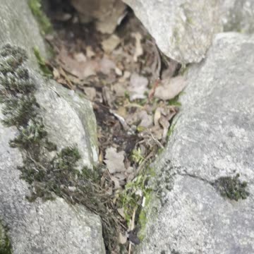 Geo Caching with Crypto Wallets