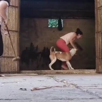 you can't control your laugh