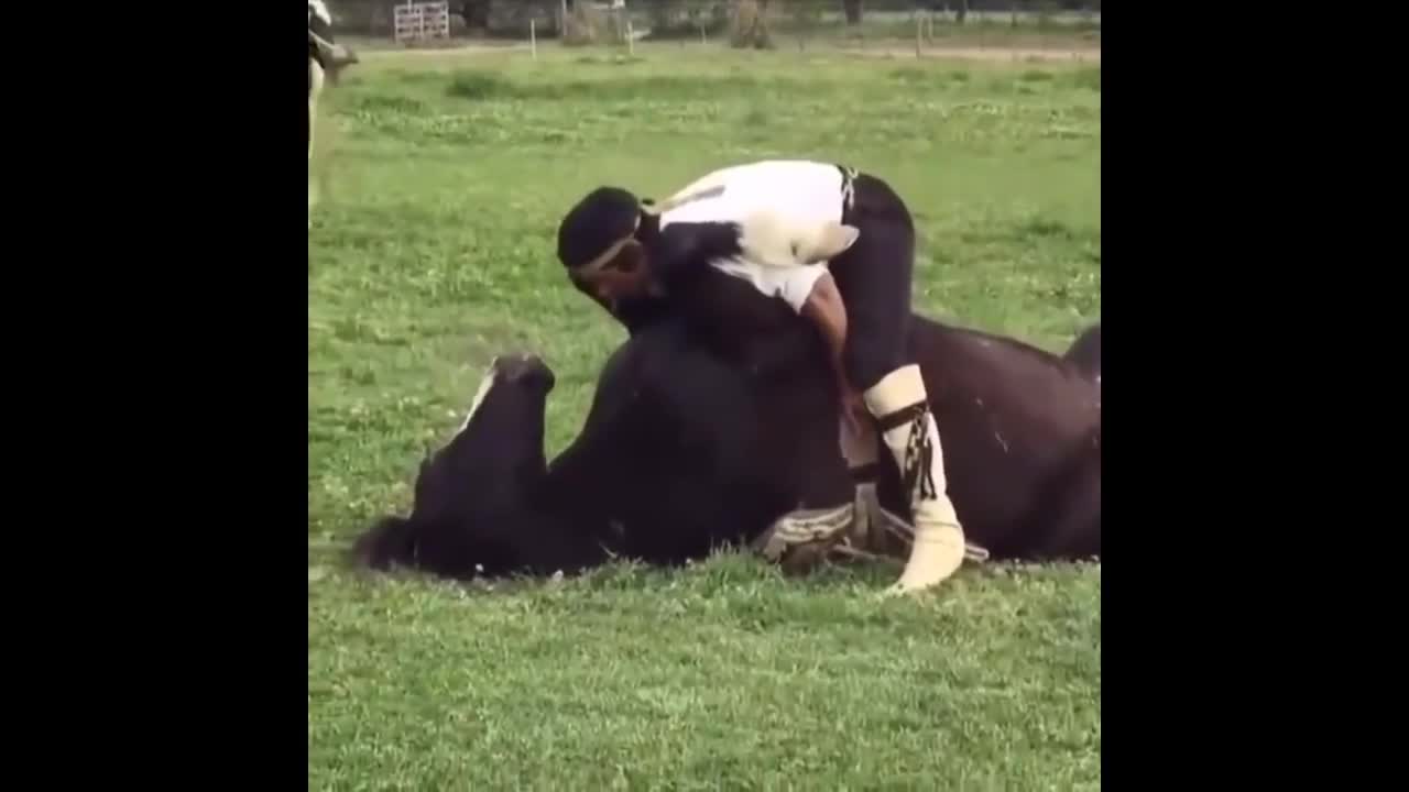 Funny and Cute Horse Videos Compilation cute moment of the horses- Cutest Horse #5-5