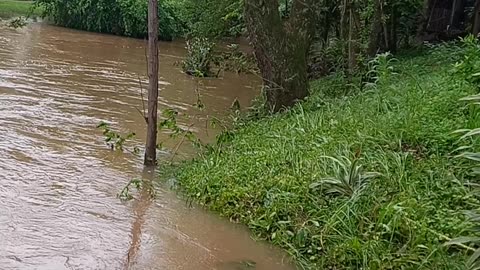 Rio forqueta cheio Rio Grande do Sul