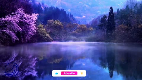 Relaxing Music | Sleeping, Meditation, Stress Relief | [6313] ⭐️