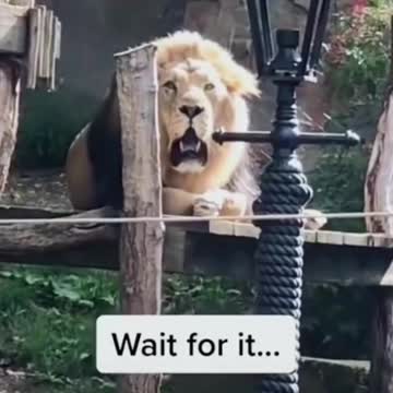 had to add in some old videos