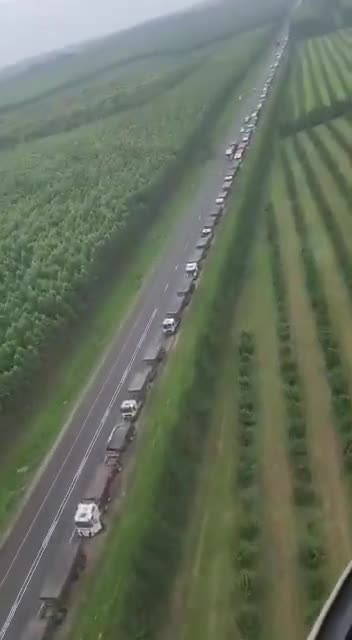 NET ZERO FRAUD - Looks like this!