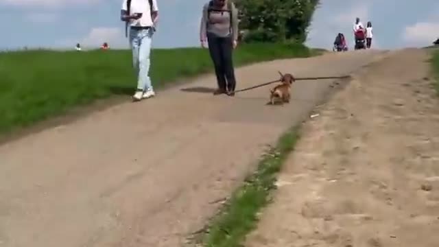 O melhor video que voce vai ver hoje 😂😂😂 Via