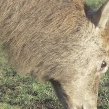 A Journey to Zen: How Relaxing This is for Mind and Body? Volume 128