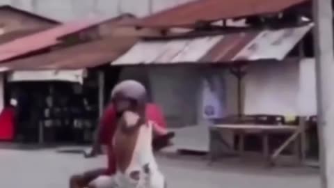 The end 😂😂😂 #funny #fails #shorts #viral #idiotsfolder