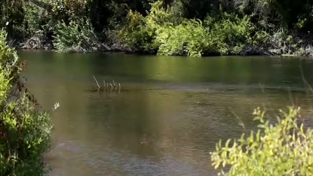 02Dead Harvest - Central Valley of California Water Crisis