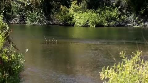 02Dead Harvest - Central Valley of California Water Crisis