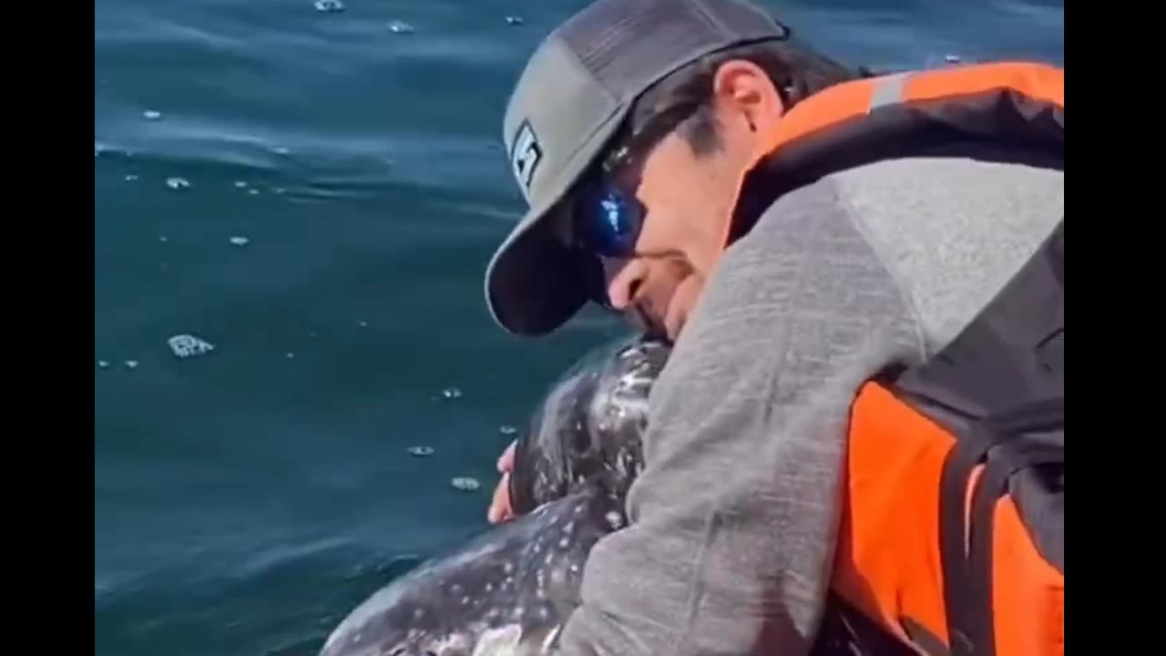 Whale kisses! 😘