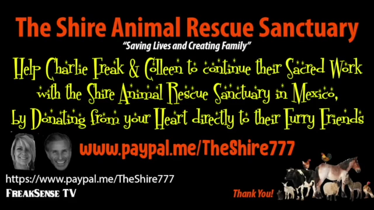 Trump - Never Give Up!