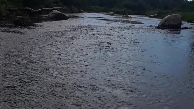 Alaska is NOT Russian territory, it is our 49th State of America.